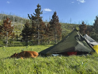 Gatewood Cape and Dog in a field