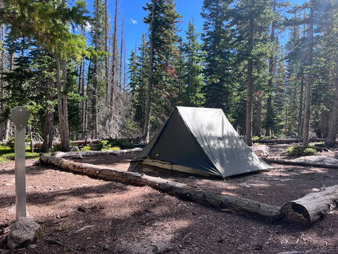 Haven pitched at a wooded campsite