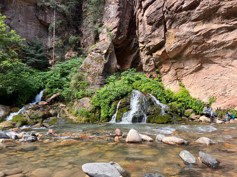 a spring flowing into the river