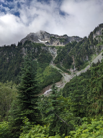 a rocky mountainside and some evergreen trees