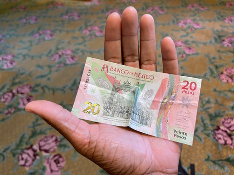 The author holding a 20 pesos bank note