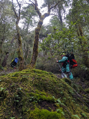 Rafters hiking out.