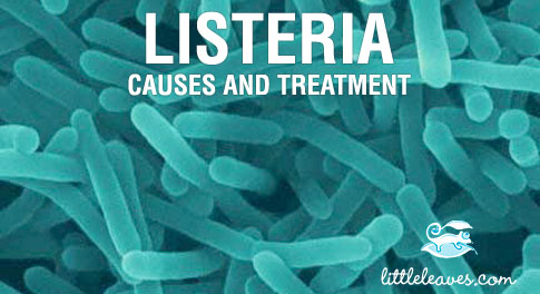 listeria causes and treatment