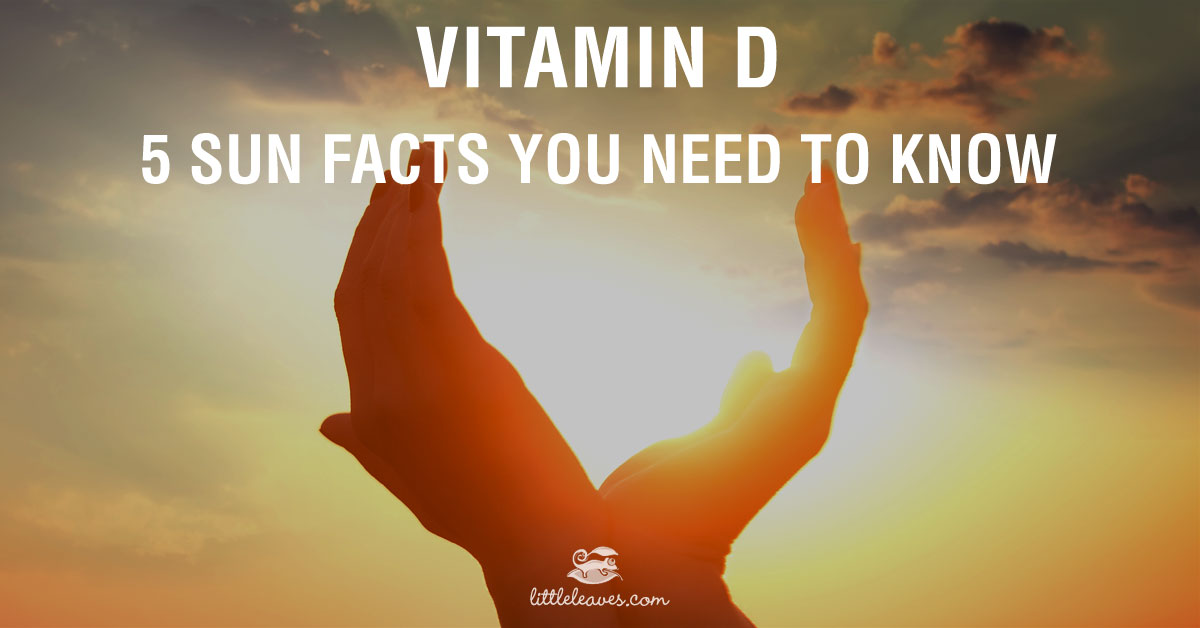 Vitamin D 5 Sun Facts