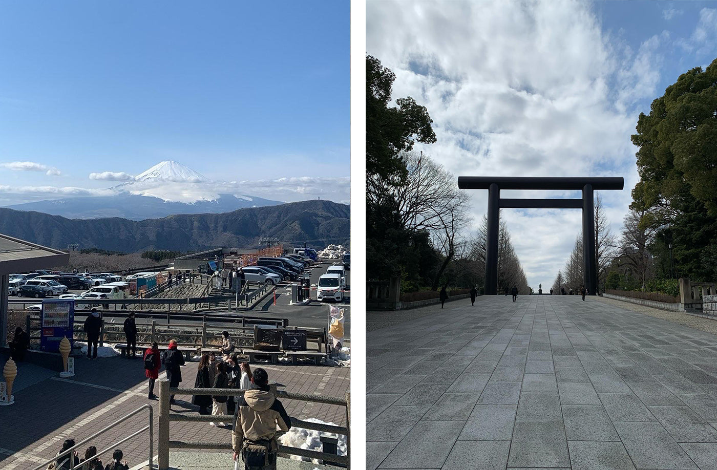 Mount Fuji