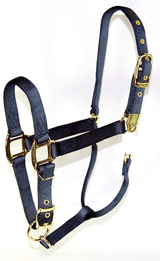 Hamilton Halter Size Chart