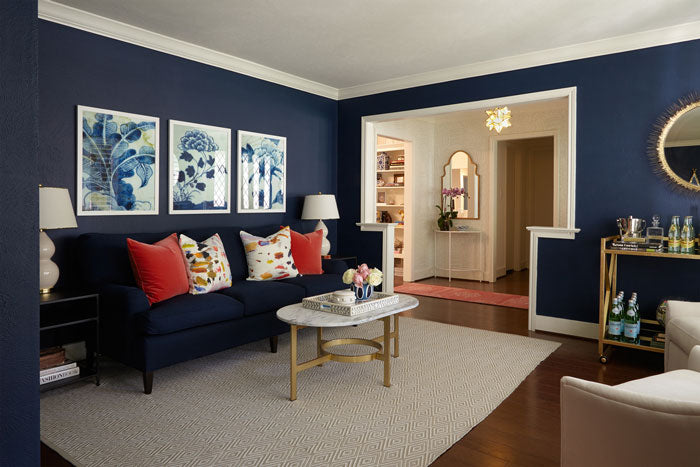 navy sofa and navy walls with red and multi colored pillows - interior designer Maddie Hughes
