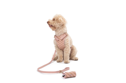 STRIPED HARNESS – Poldo Dog Couture