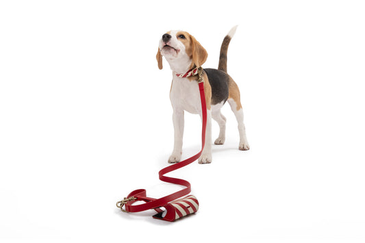 STRIPED HARNESS – Poldo Dog Couture