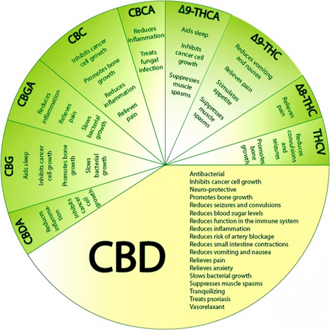 Benefits of Full Spectrum CBD