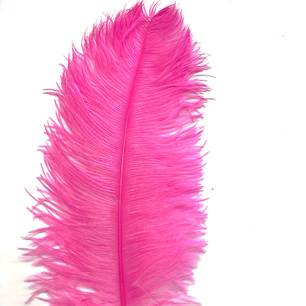 Ostrich Wing Feather Plumes 50-55cm (20-22