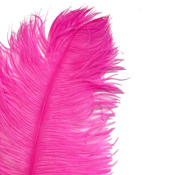 Ostrich Wing Feather Plumes 50-55cm (20-22