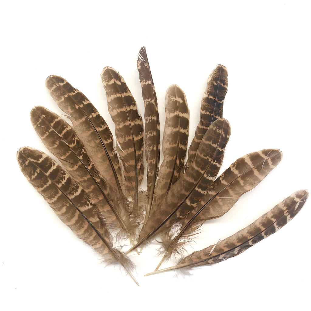 pheasant feathers