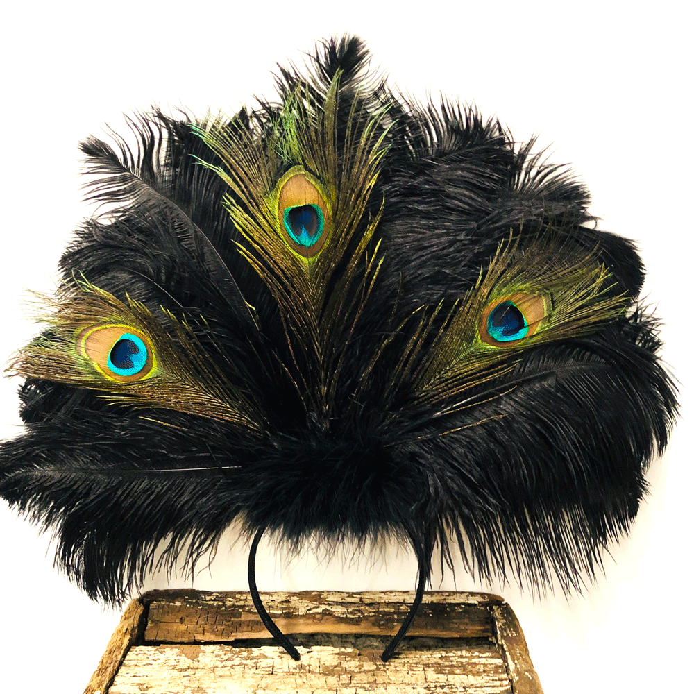 peacock and ostrich feathers