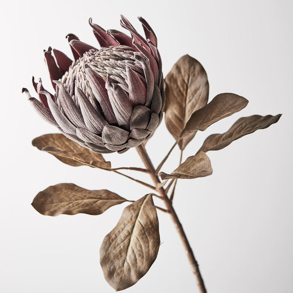 Artificial Protea King Flower Stem - Chocolate Brown (Style 5 ...