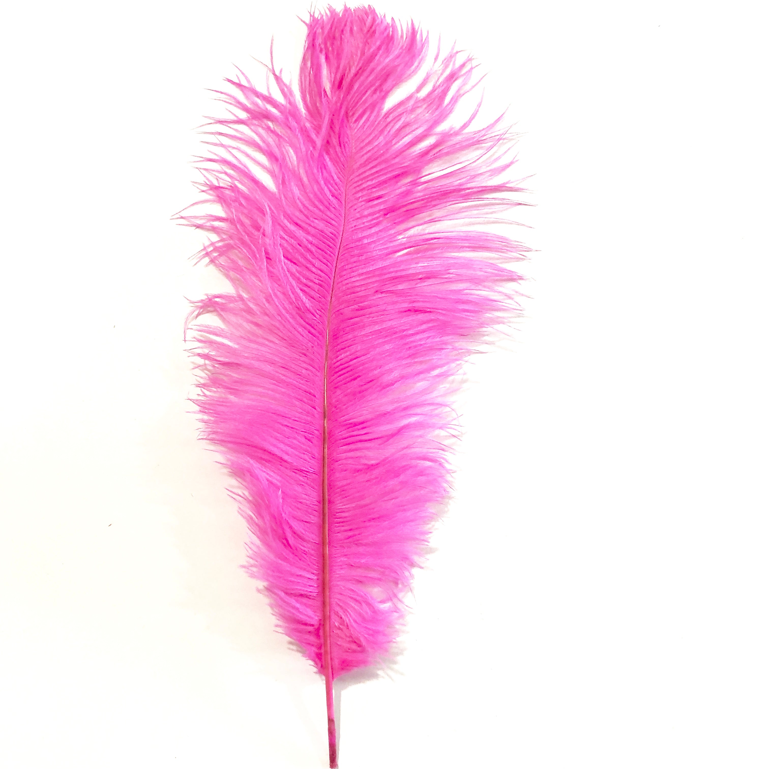 New Hot Pink Drab 37-42cm - Wholesale Feathers & Craft Supplies | eBay