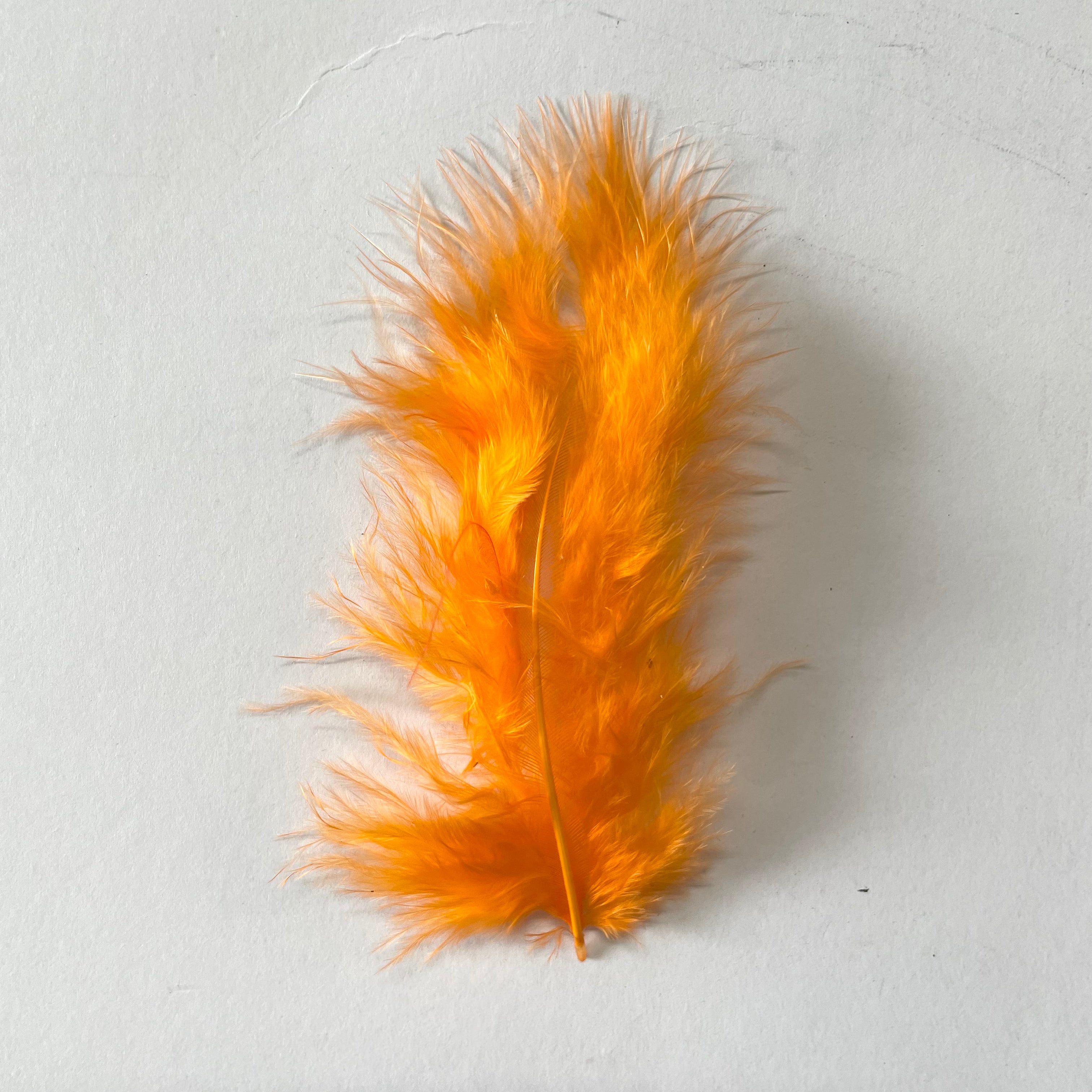 Feather Products, Ostrich, Peacock, Marabou