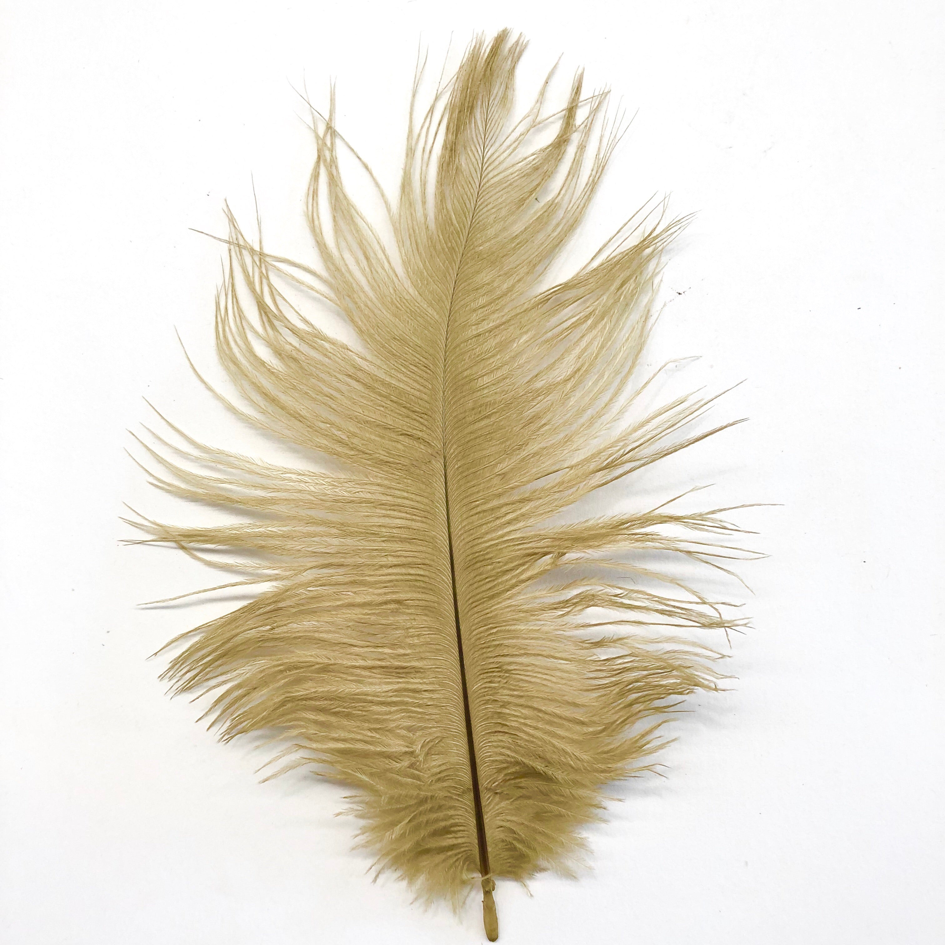 gold ostrich feathers for sale