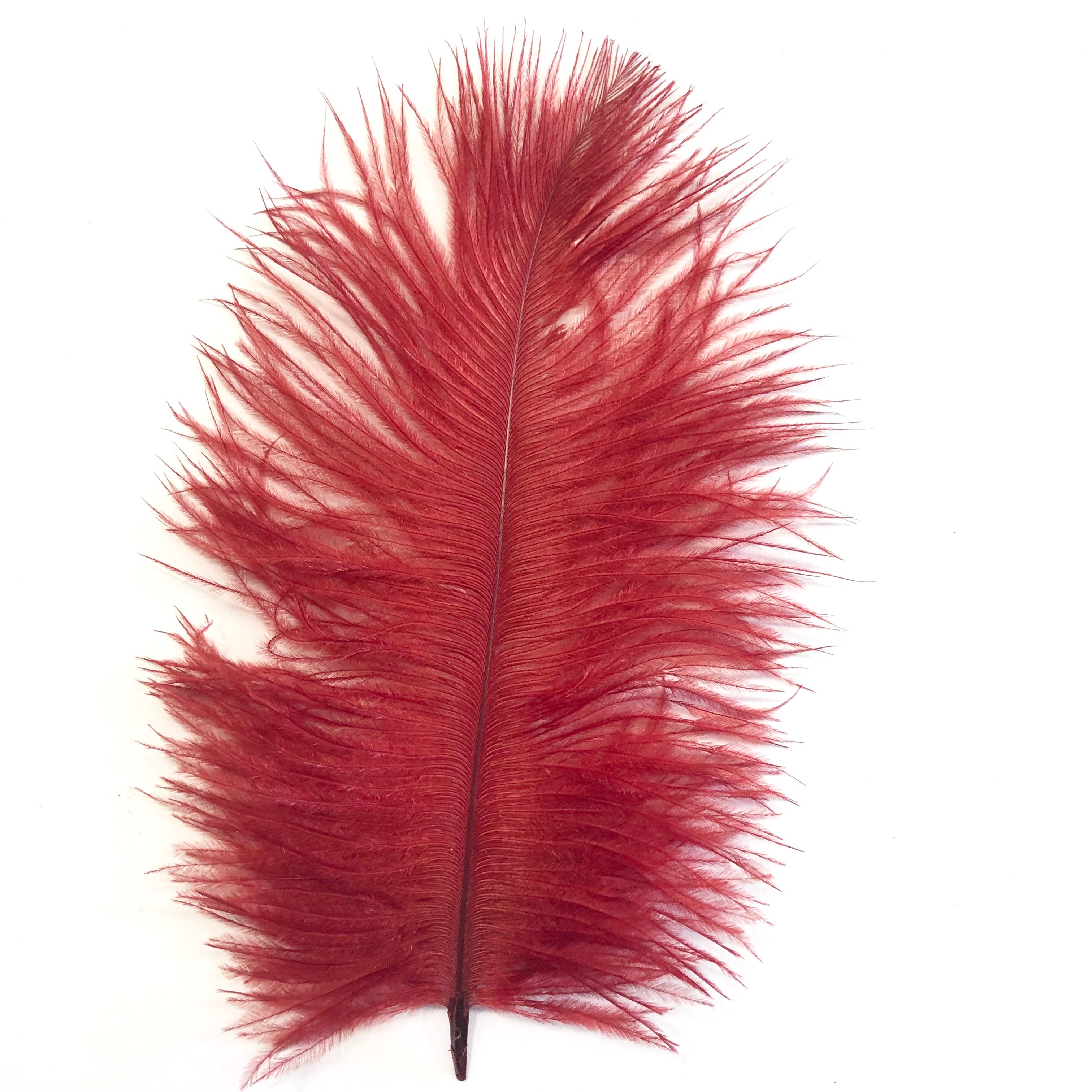 Ostrich Feather Drab 6-15cm x 20 - Blood Red | eBay