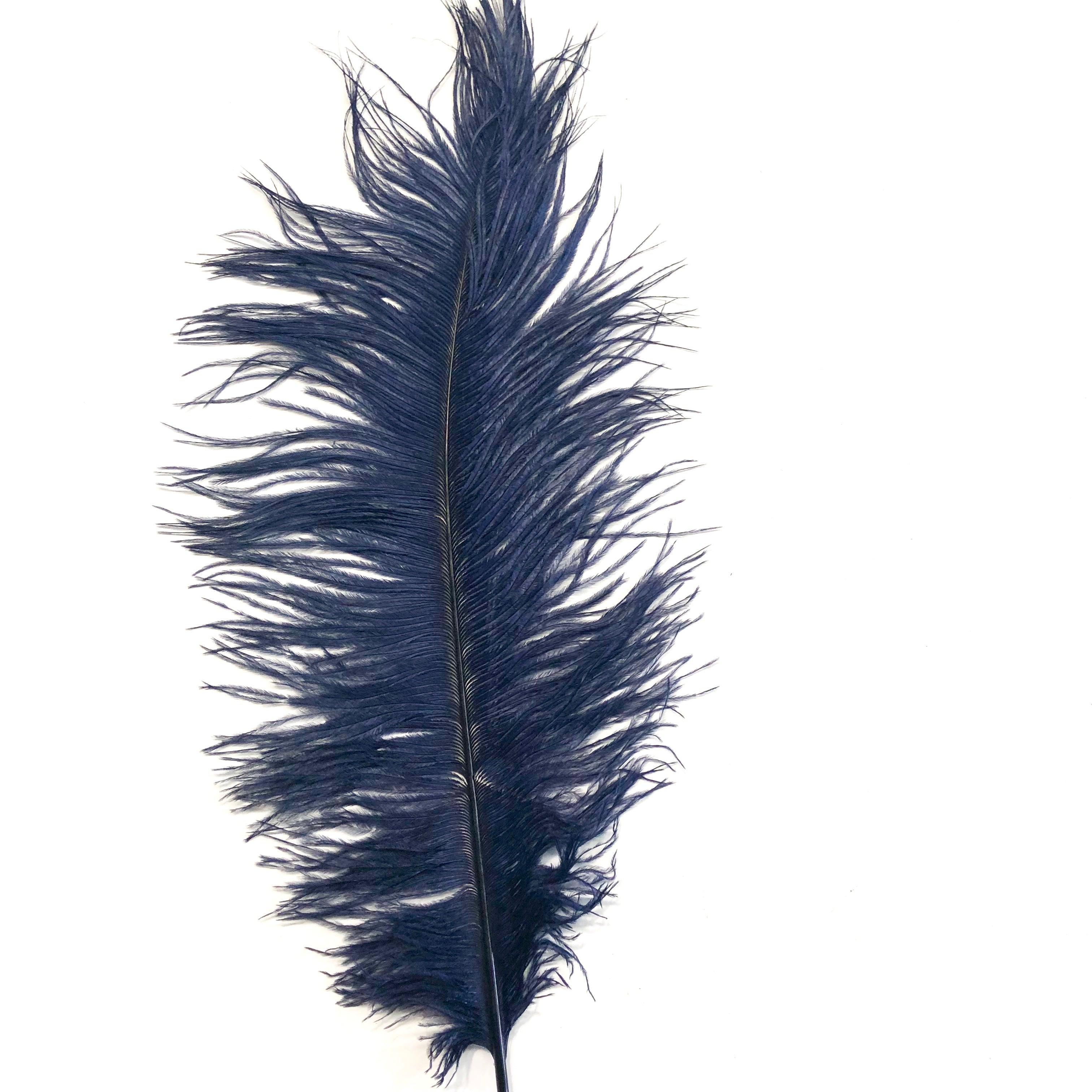 Ostrich Drab Feathers (Long) for Sale Online