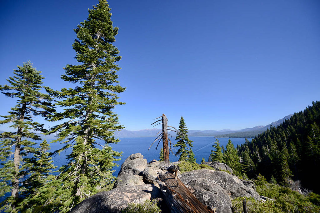 Looking out over Lake Tahoe from the Rubicon Trail between Emerald Bay and D.L. Bliss State Park, California.