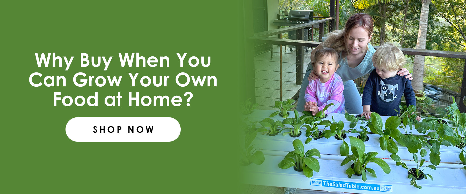 Why Buy When You Can Grow Your Own Food at Home