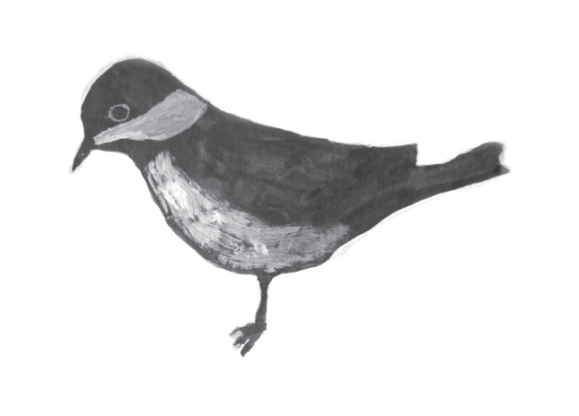 Chickadee from "Broken Wing"