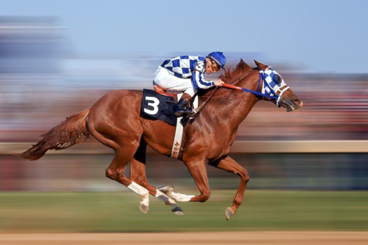 average speed of a horse