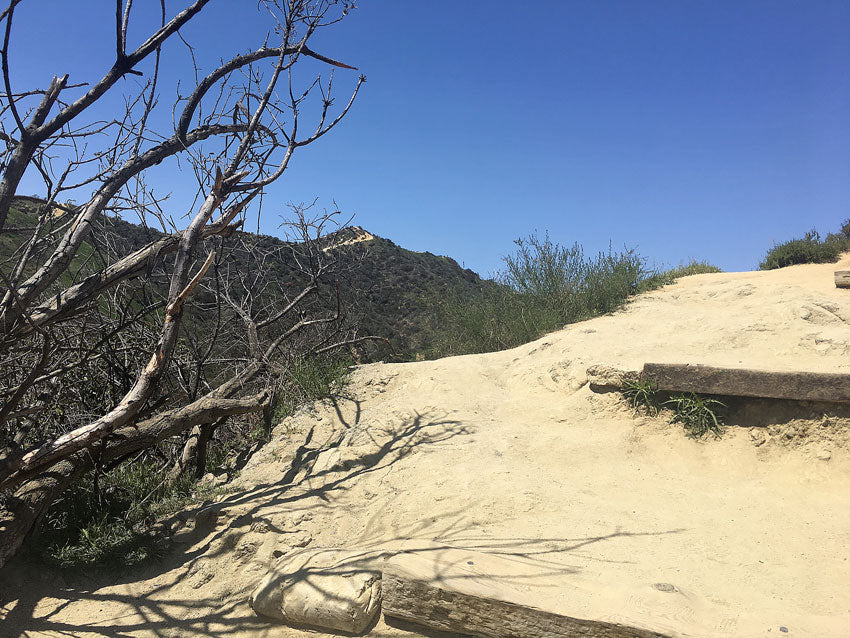Wood steps up the sand on the Runyon Canyon trail. Wood steps up the sand on the Runyon Canyon trail.