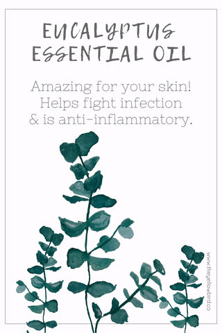 eucalyptus essential oil skin benefits the yellow bird blog natural skin care