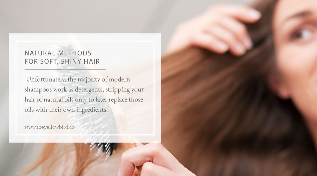 Natural Methods for Soft Shiny Hair