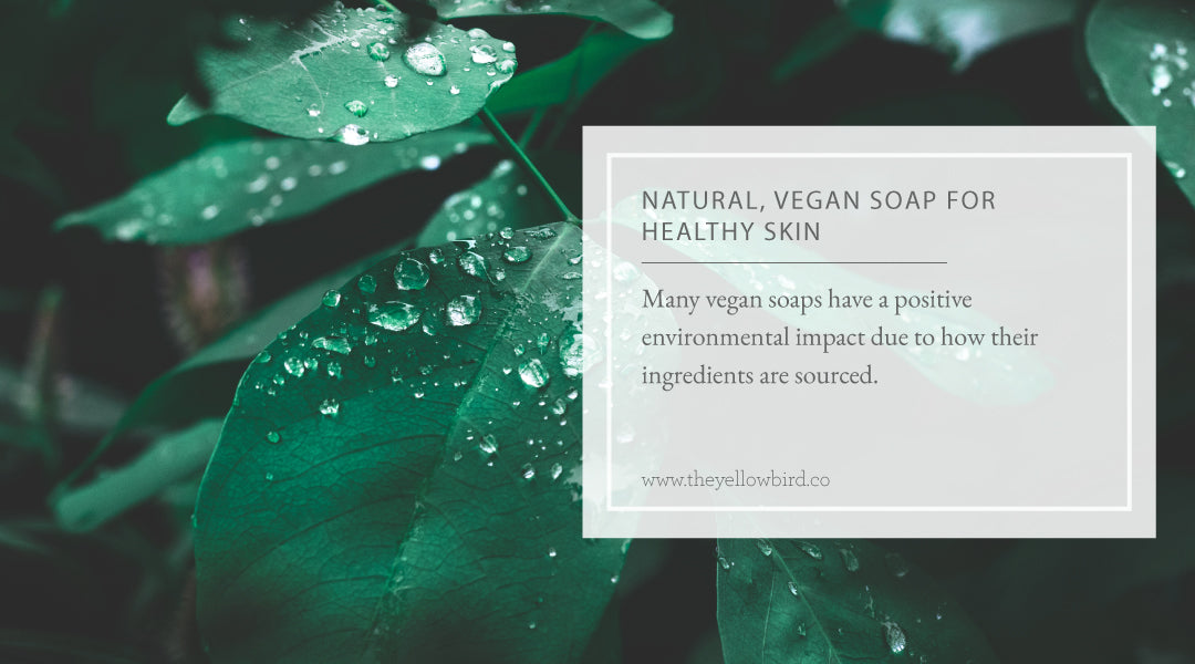 Natural Vegan Soap for Healthy Skin
