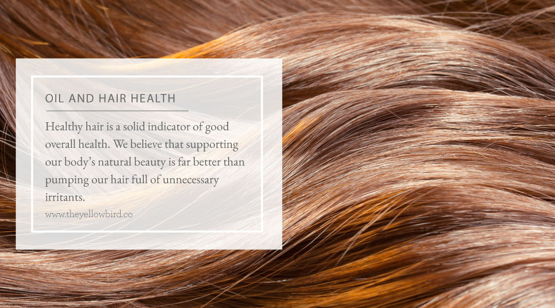 Oil and Hair Health