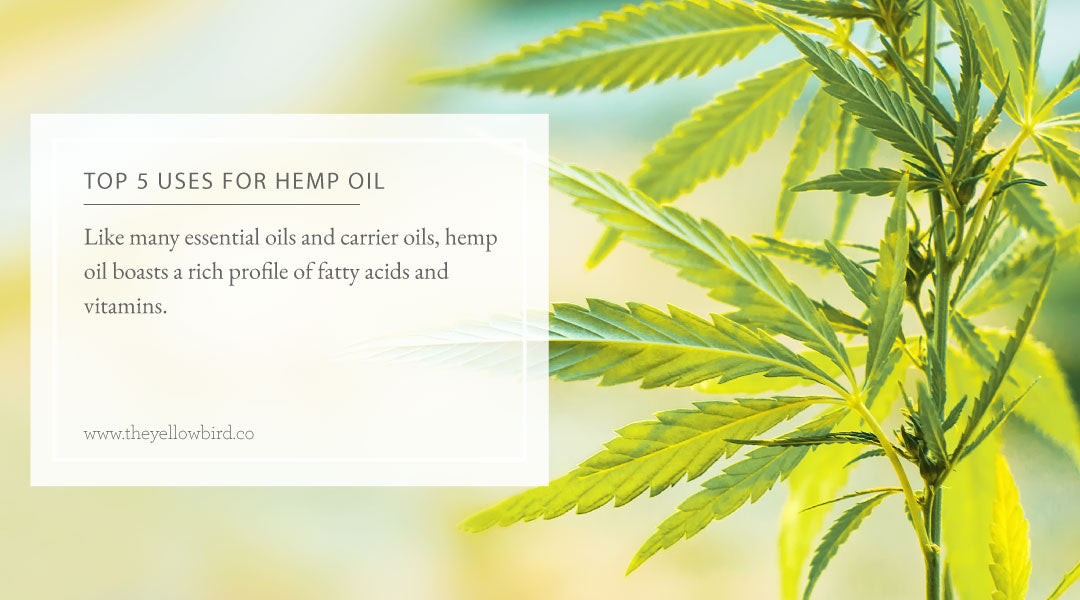 Top 5 Uses for Hemp Oil