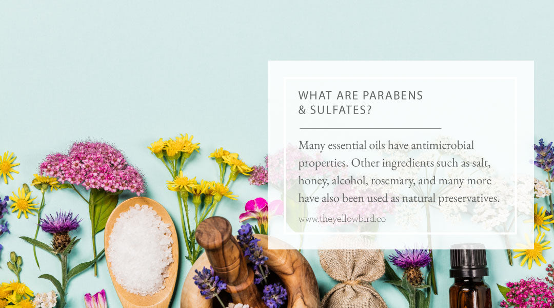 What are Parabens and Sulfates