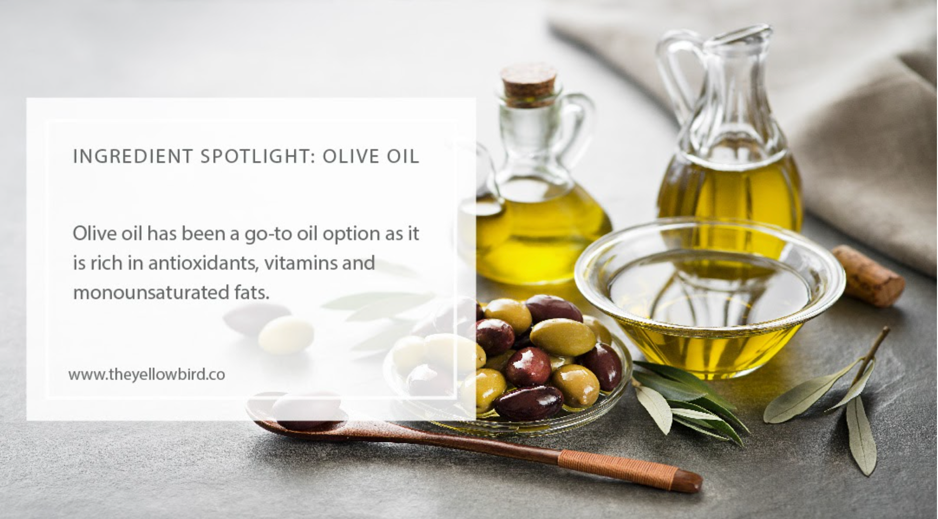 Olive oil for the face  Everything you need to know