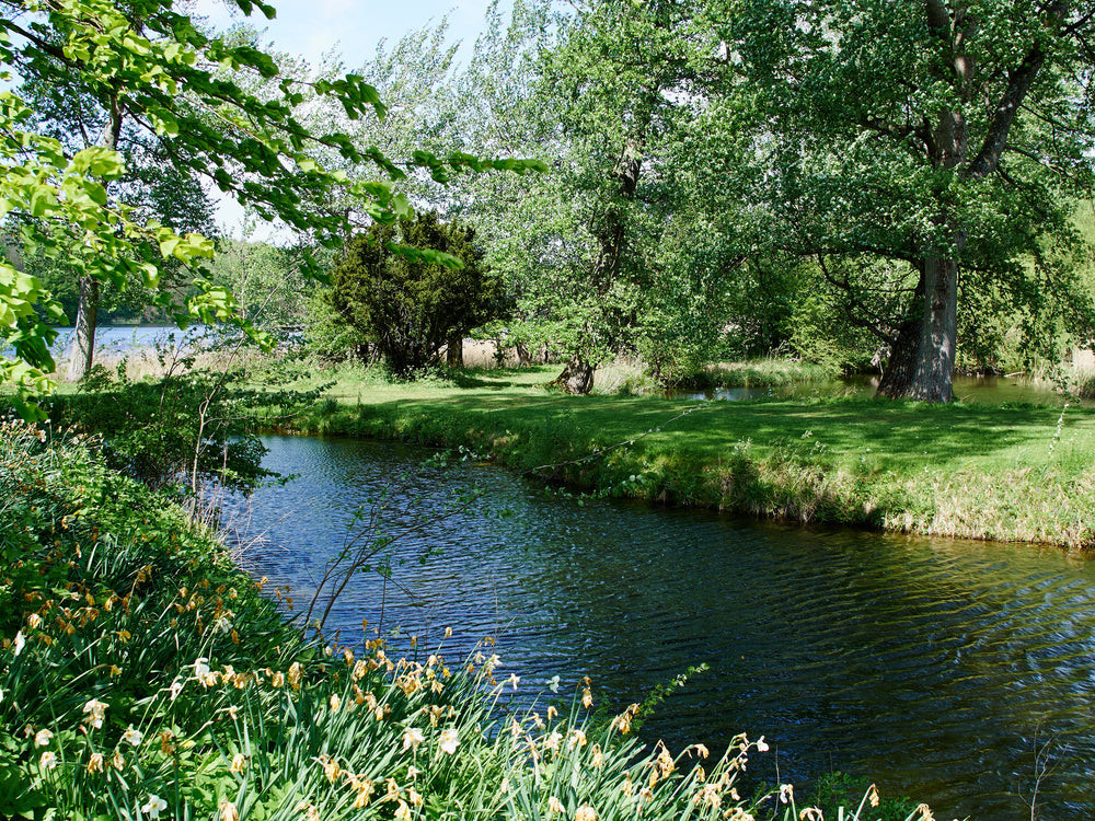 Brazos River