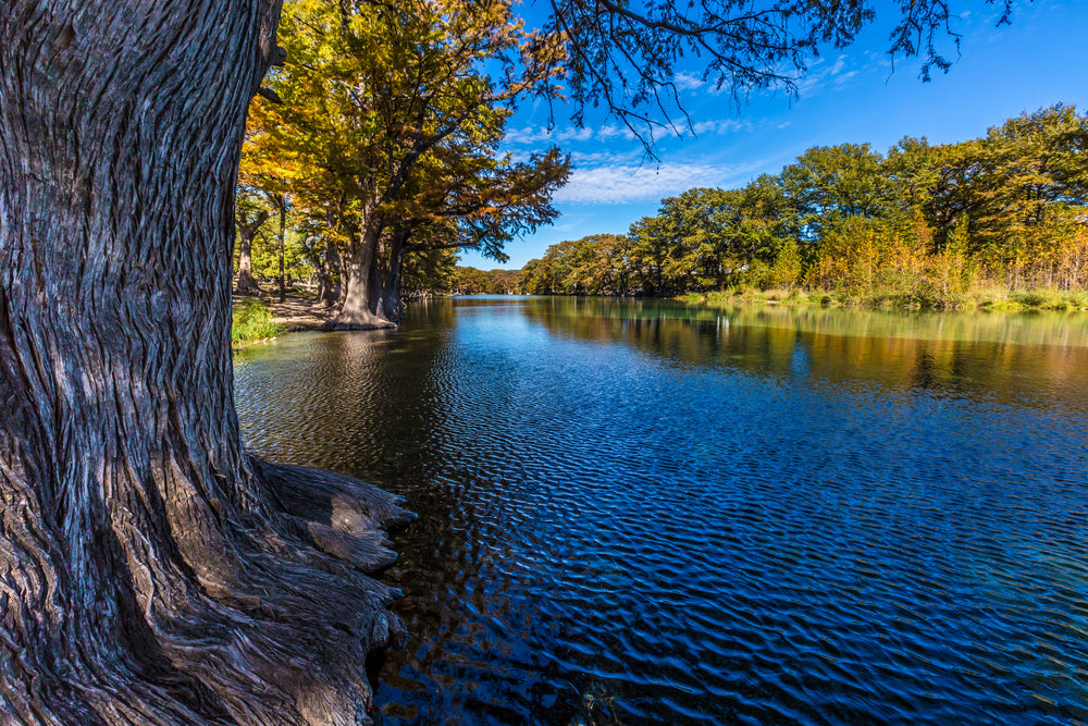 Frio River Texas