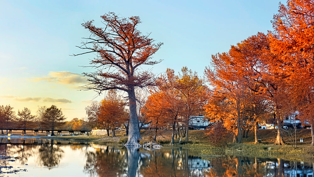 Guadalupe River