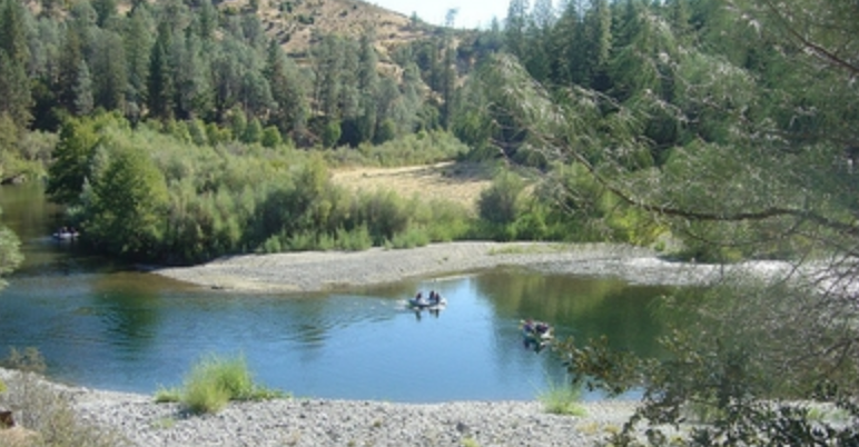 Steiner Flat Primitive Campsite