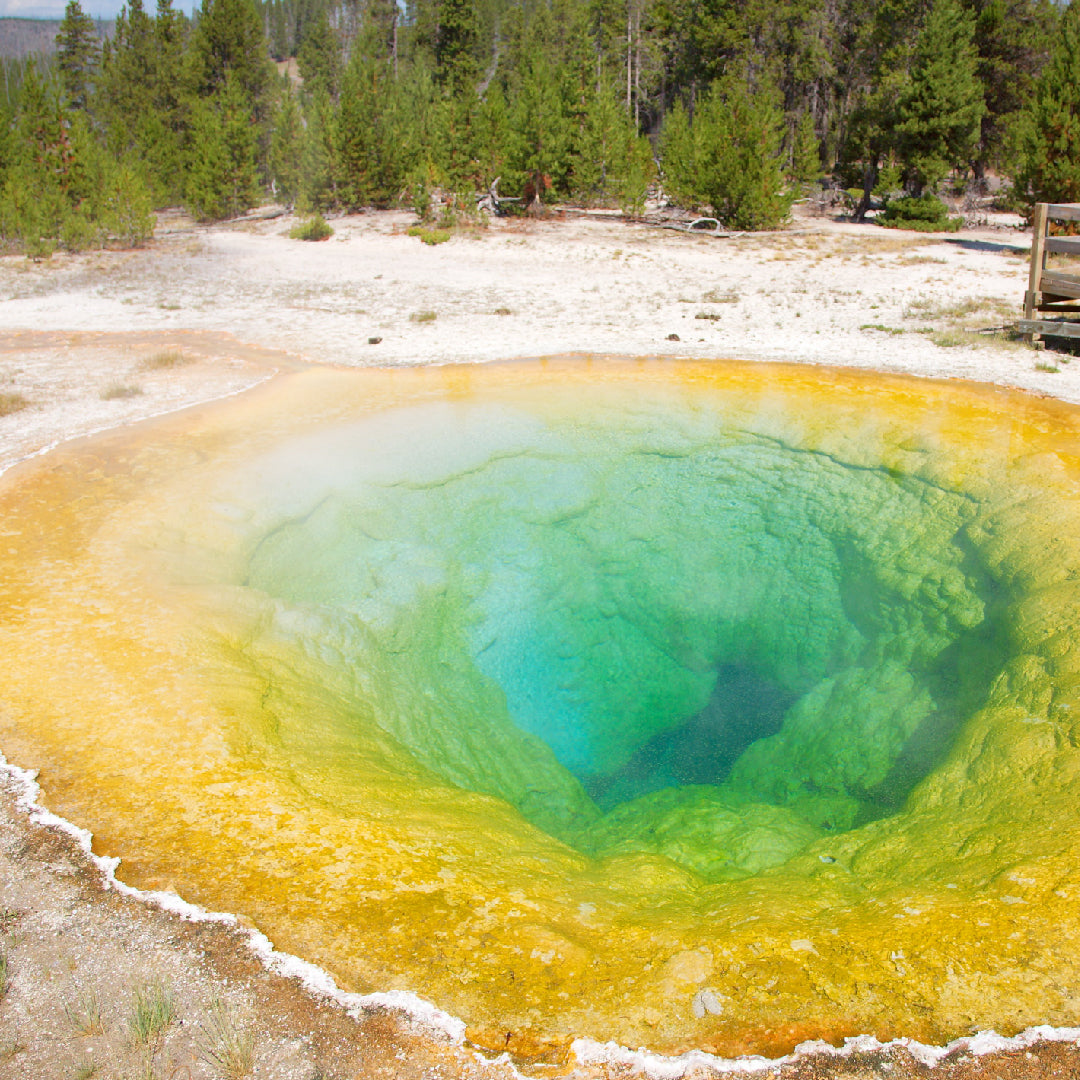 Wild Camping in Yellowstone National Park