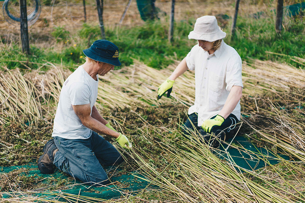 Cameron Sims Plant Culture Founder Hemp 