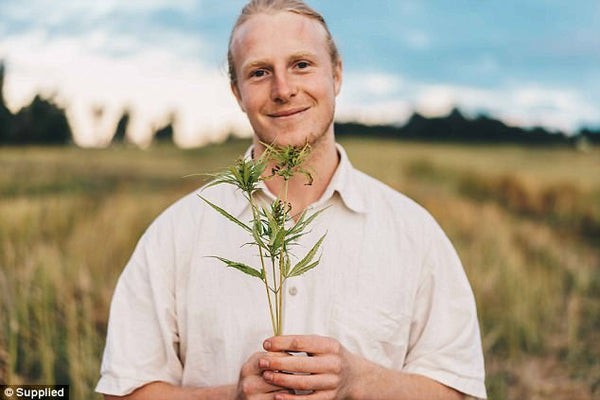 cameron sims plant culture hemp seed nz