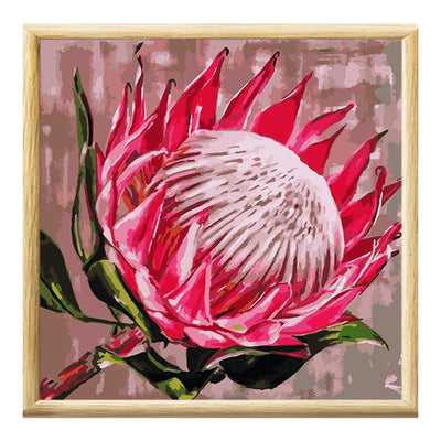 Adult Paint by Numbers with Frame - King Protea, Iconix