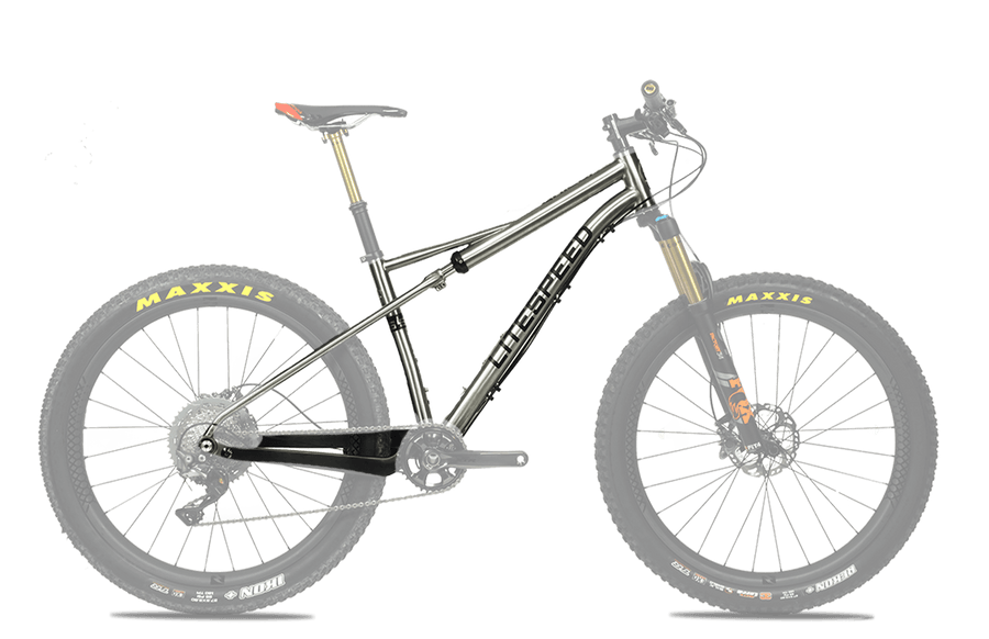 cheapest titanium mountain bike