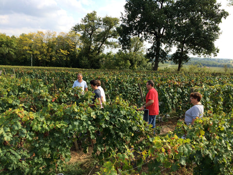 Visite & dégustation au vignoble de Monicord