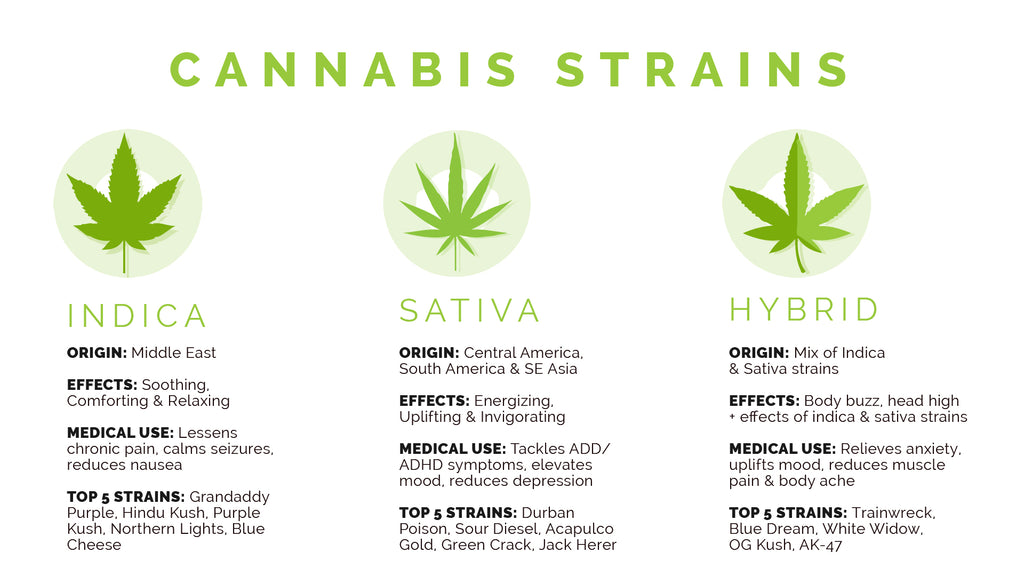 Cannabis Classification Chart
