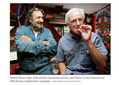 dennis peron and jack herer