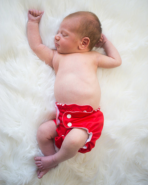 Applecheeks One-Size Cover and All-in-One Diaper pictures