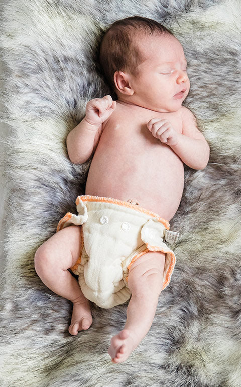 newborn workhorse diapers